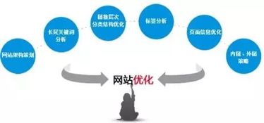 康平一站式抖音SEO优化多少钱？我帮你把账算明白，别花冤枉钱