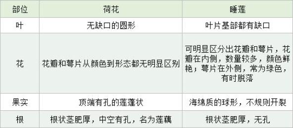 康平一站式抖音SEO优化价位，别被报价单唬住，先搞明白钱花在哪了